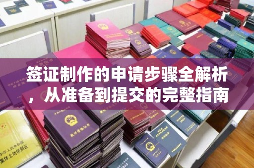 涪城签证制作的申请步骤全解析，从准备到提交的完整指南